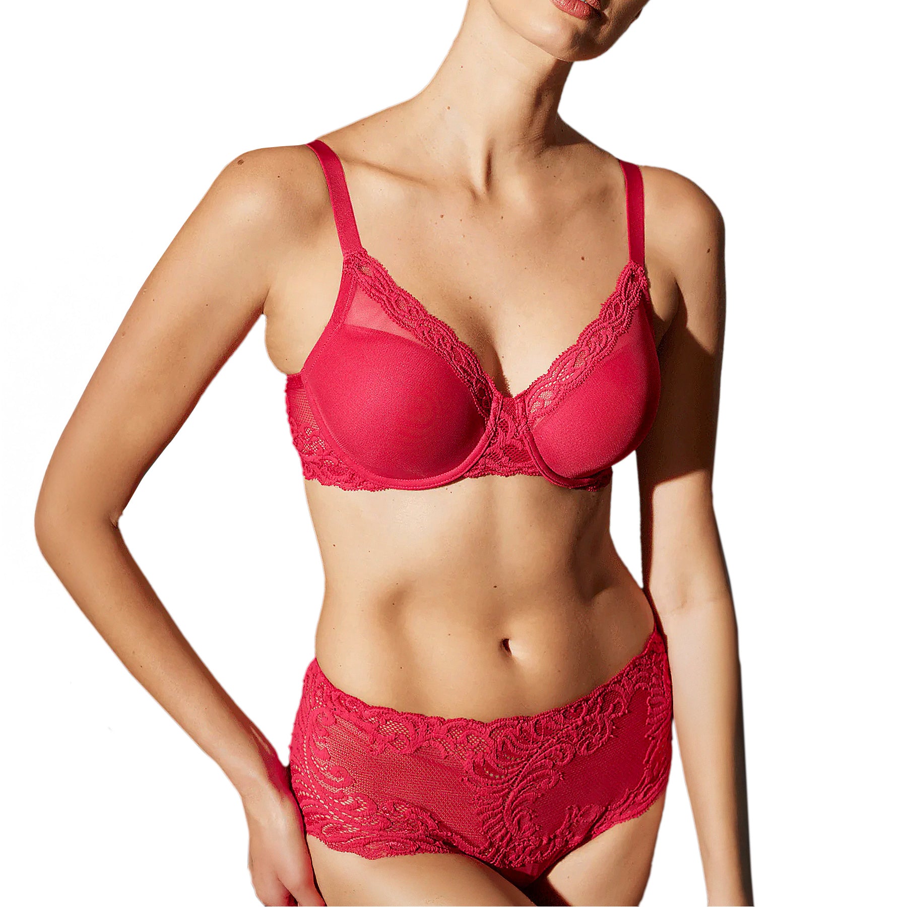 Natori Feathers Girl Brief 756023 Pomegranate Set