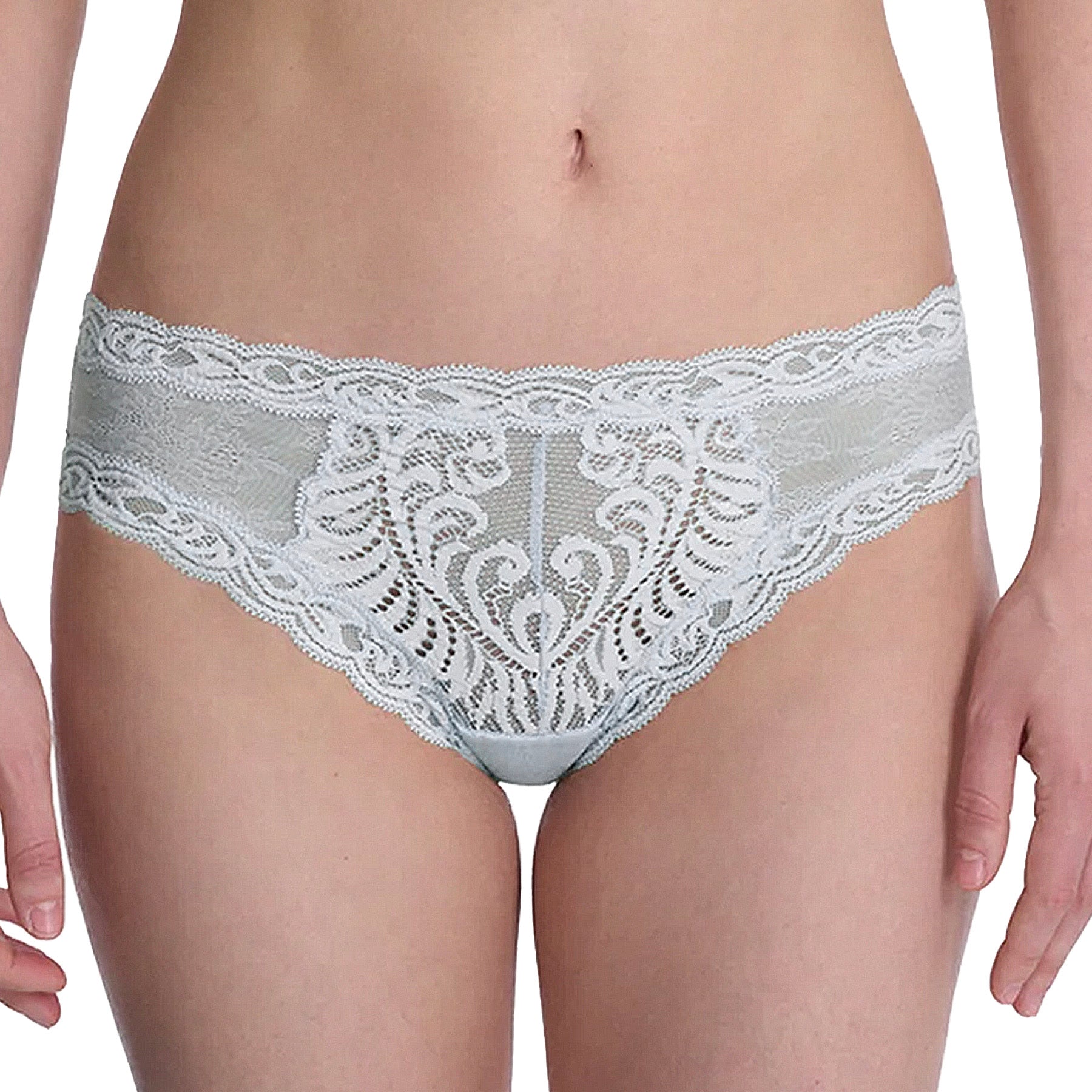 Natori Feathers Hipster Panty 753023 Frosted Sky Front