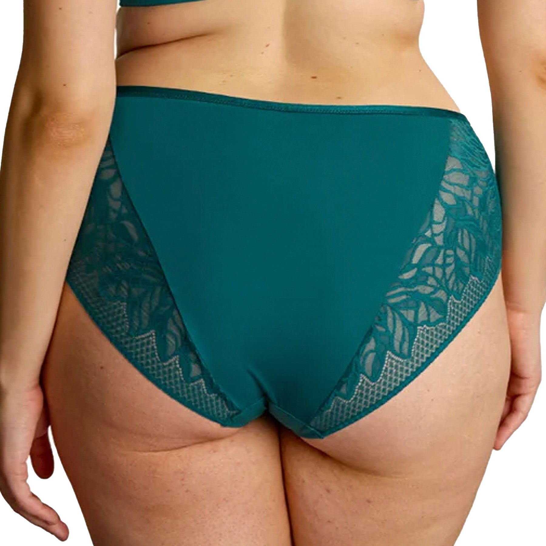 Panache Sculptresse Sophia Deep Brief 11192 Teal Blue Back