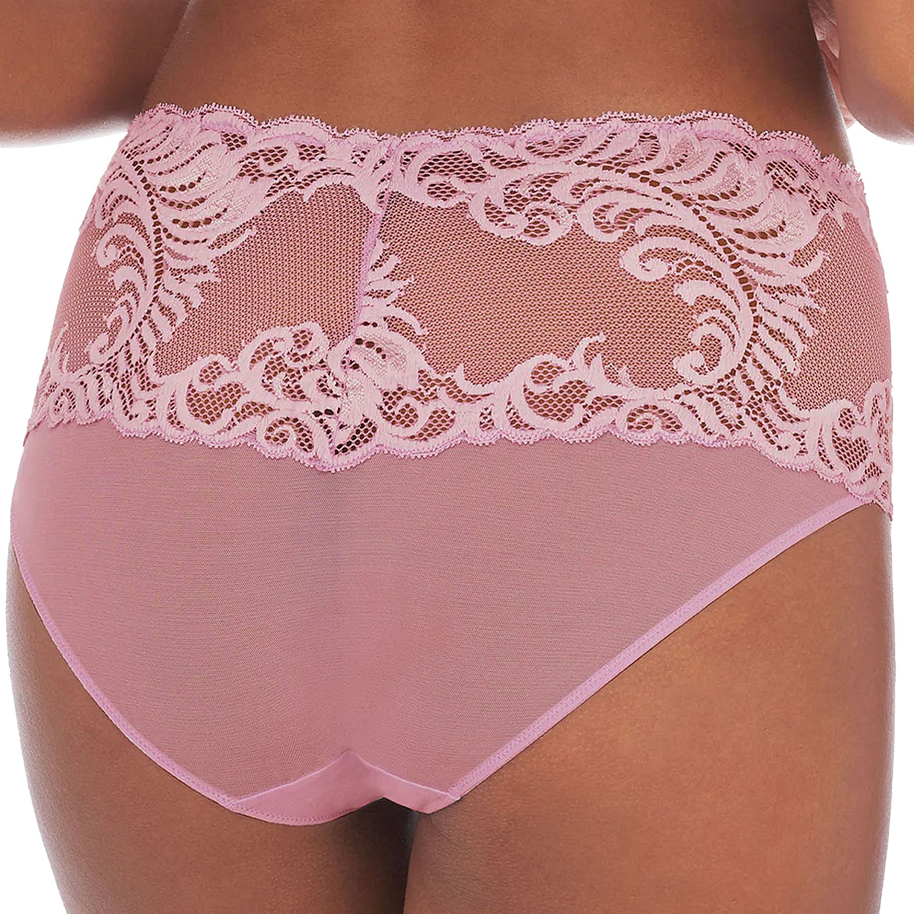 Natori Feathers Girl Brief Panty 756023 Freesia Back