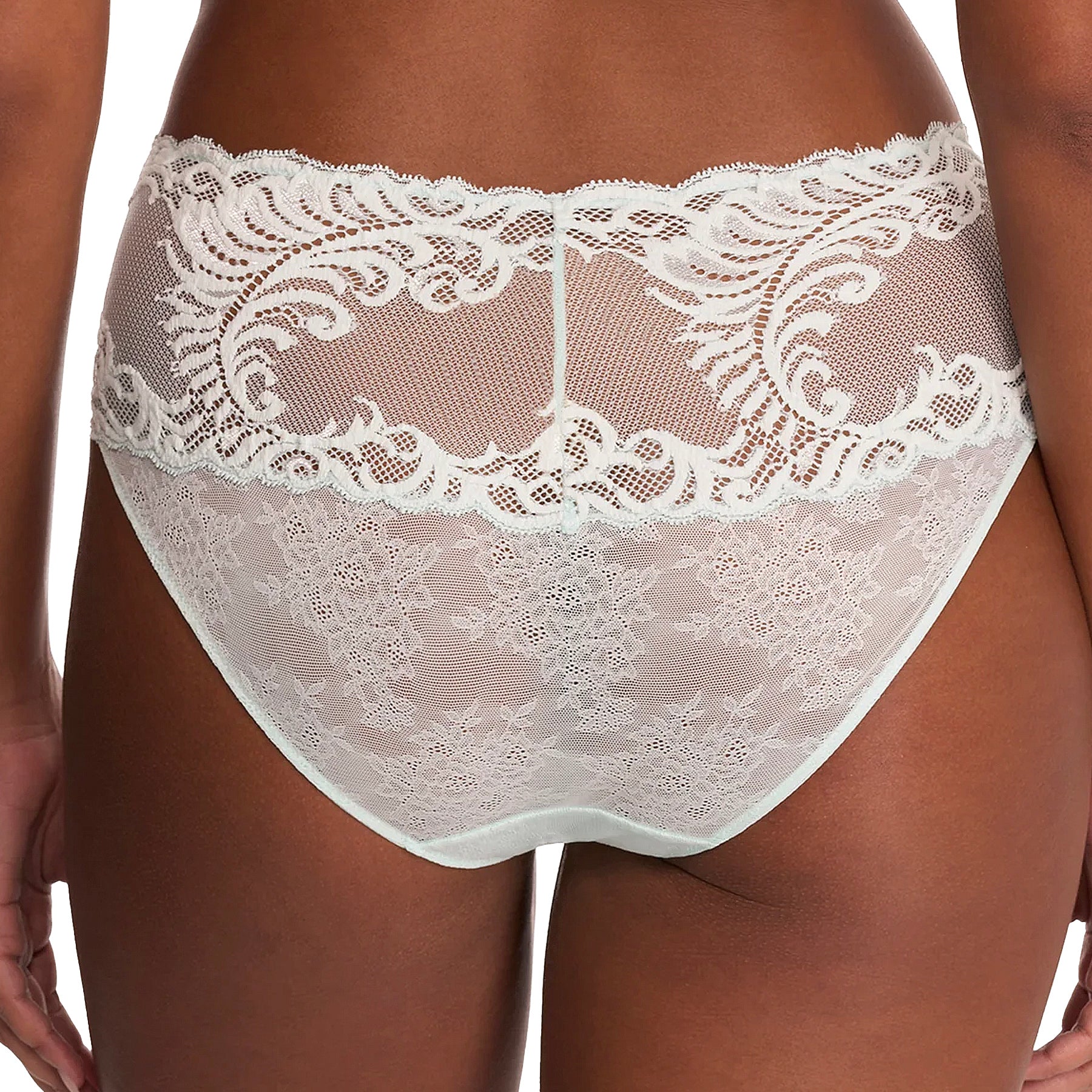 Natori Feathers Girl Brief Panty 756023 Mint Lace Back