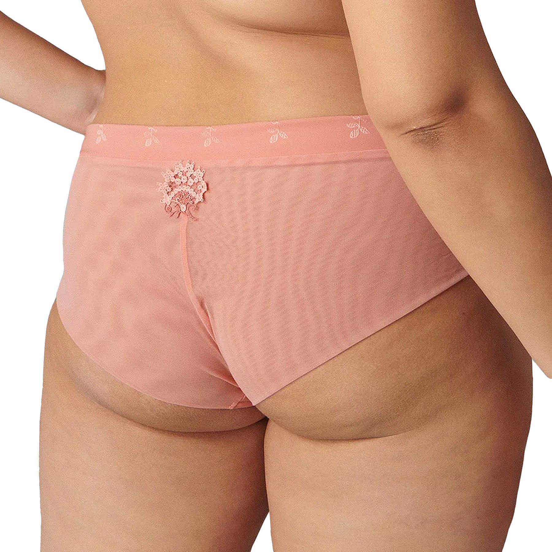 Simone Perele Wish Boyshort 12B630 Ginger Pink Back