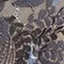 french-floral