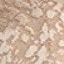 sahara